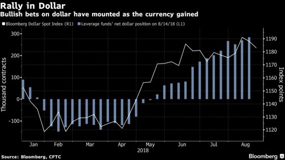 It’s Too Early to Call an End to the Dollar Rally, JPMorgan Says