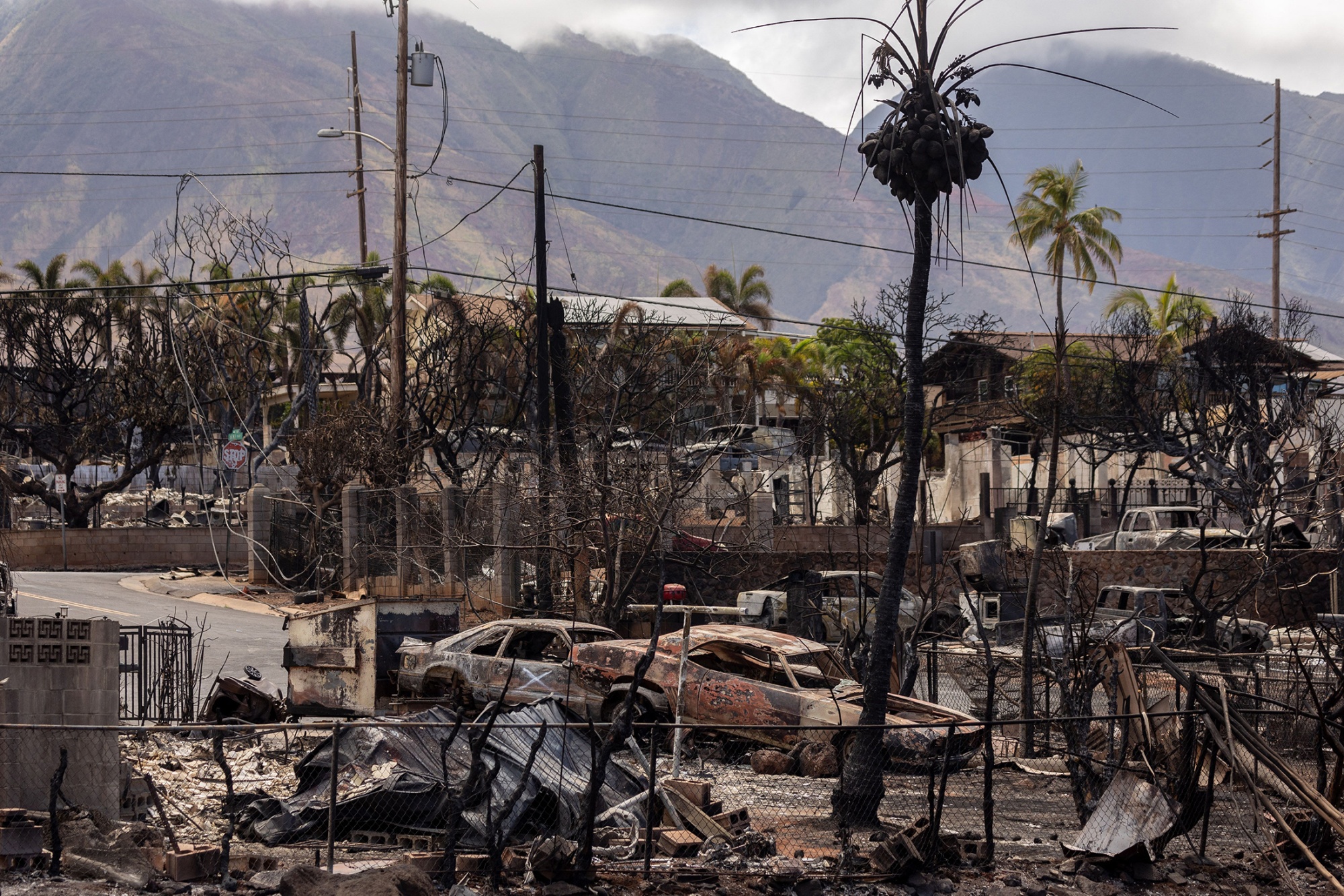 Как сейчас выглядят гавайи Biden Confronts a Crisis in Maui’s Struggle to Recover - Bloomberg