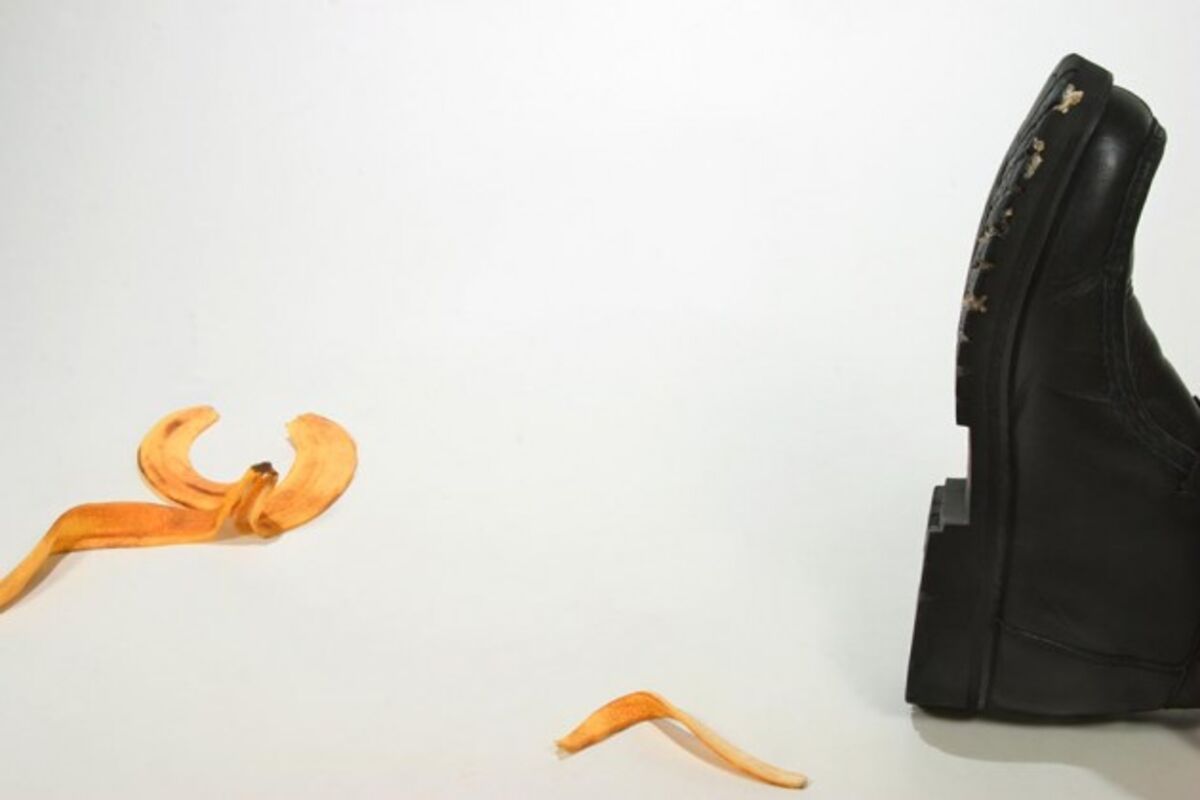 Success Stories: How Survivorship Bias Tricks Entrepreneurs - Bloomberg