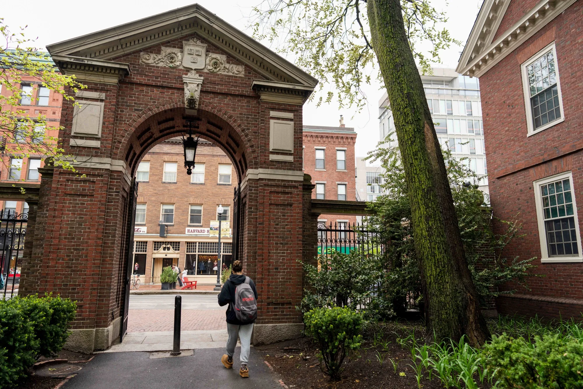 GOP Eyes Tax Hike on Endowments in Escalation of Ivy League Feud ...