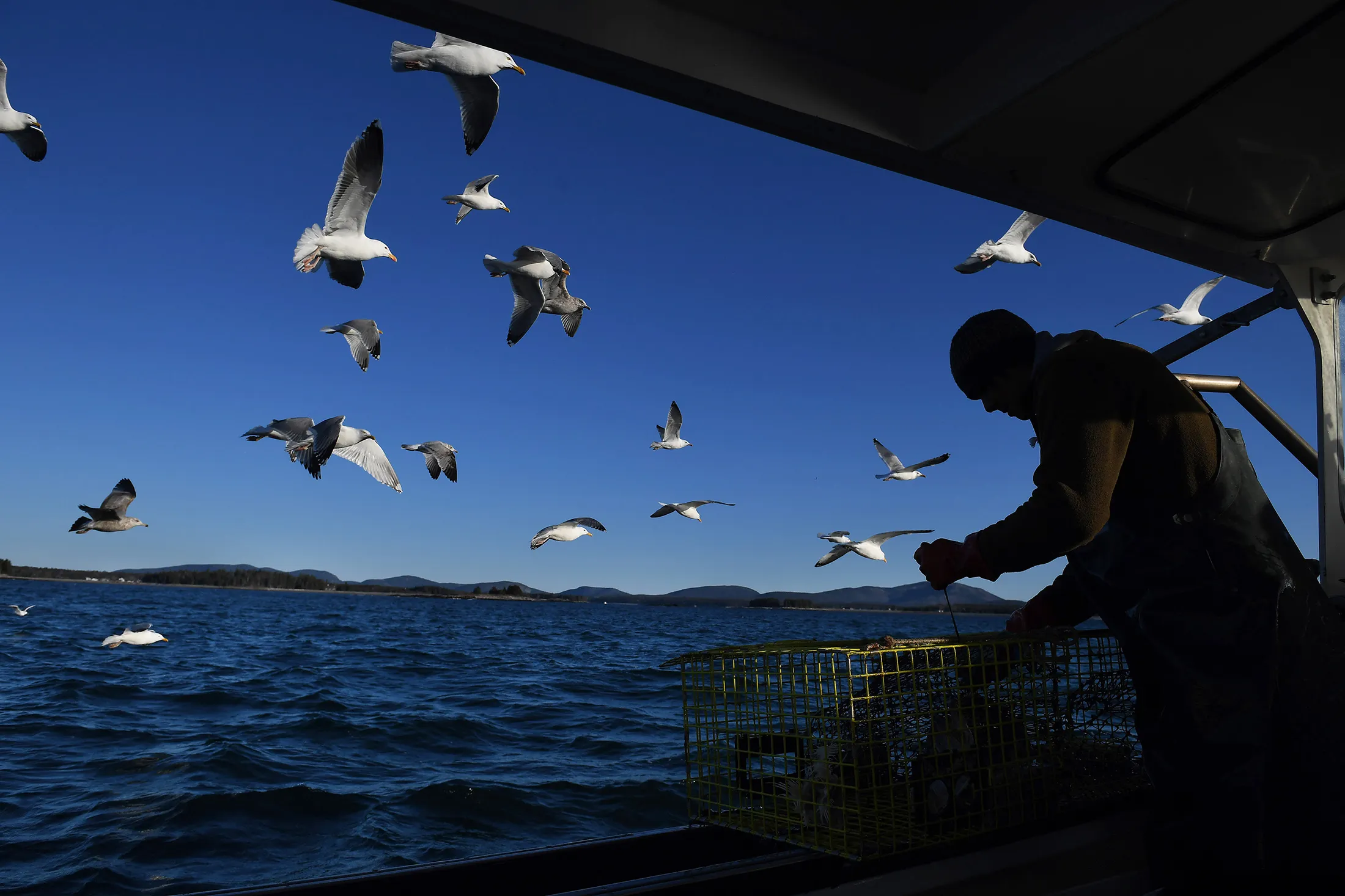 Maine is known for its agriculture and aquaculture industries, which FocusMaine&nbsp;sees&nbsp;as promising sectors for opportunity.&nbsp;