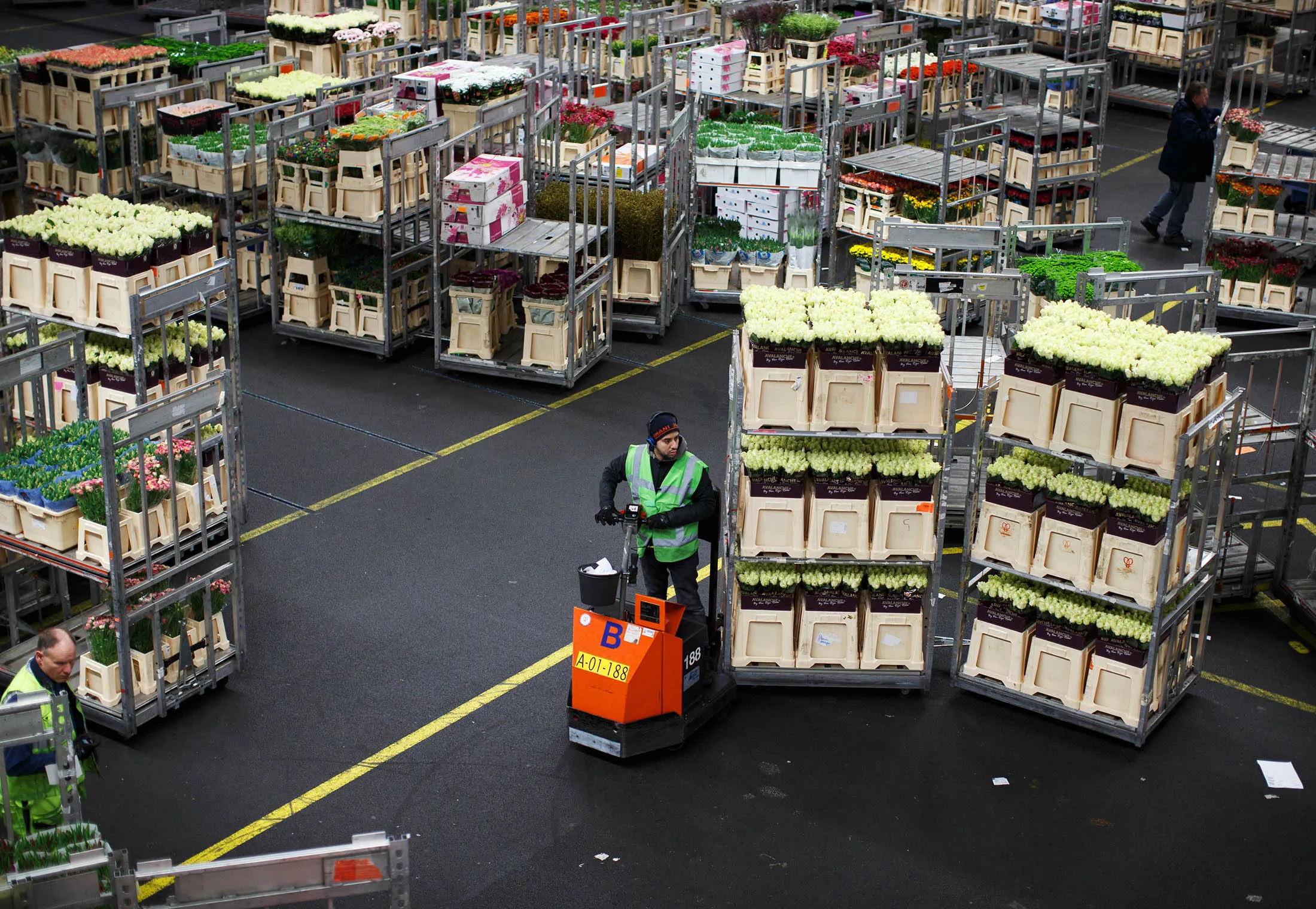 Buyers Attend FloraHolland Flower Auctions At World's Largest Trading Center For Plants
