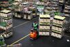 Buyers Attend FloraHolland Flower Auctions At World's Largest Trading Center For Plants
