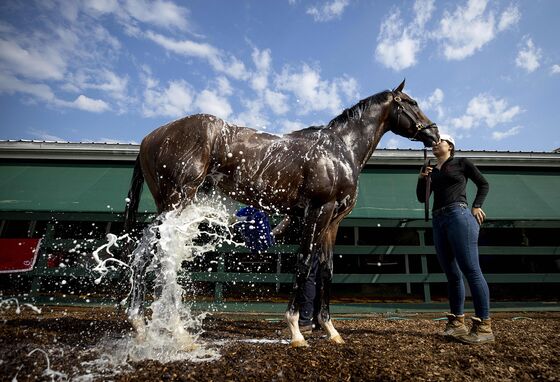 Kentucky Derby DQ Victim Is Ready to Roll: David Papadopoulos