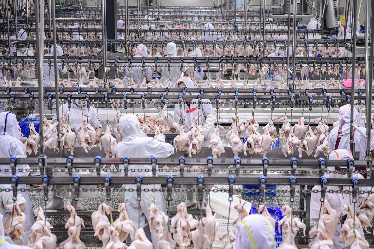 China Lifts Ban on Brazilian Poultry, Ending Five-Month Hiatus