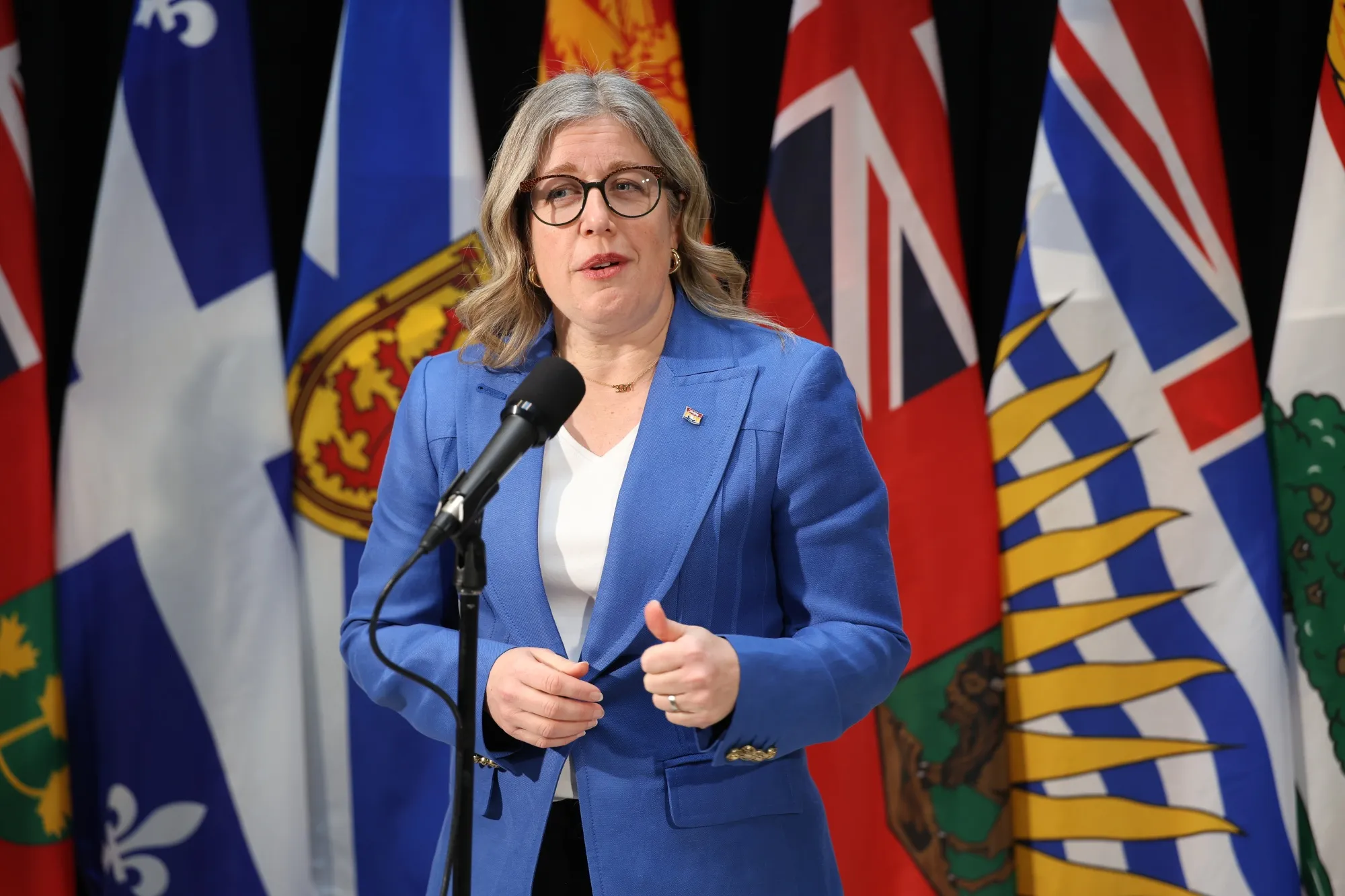 New Brunswick's Premier&nbsp;Susan Holt