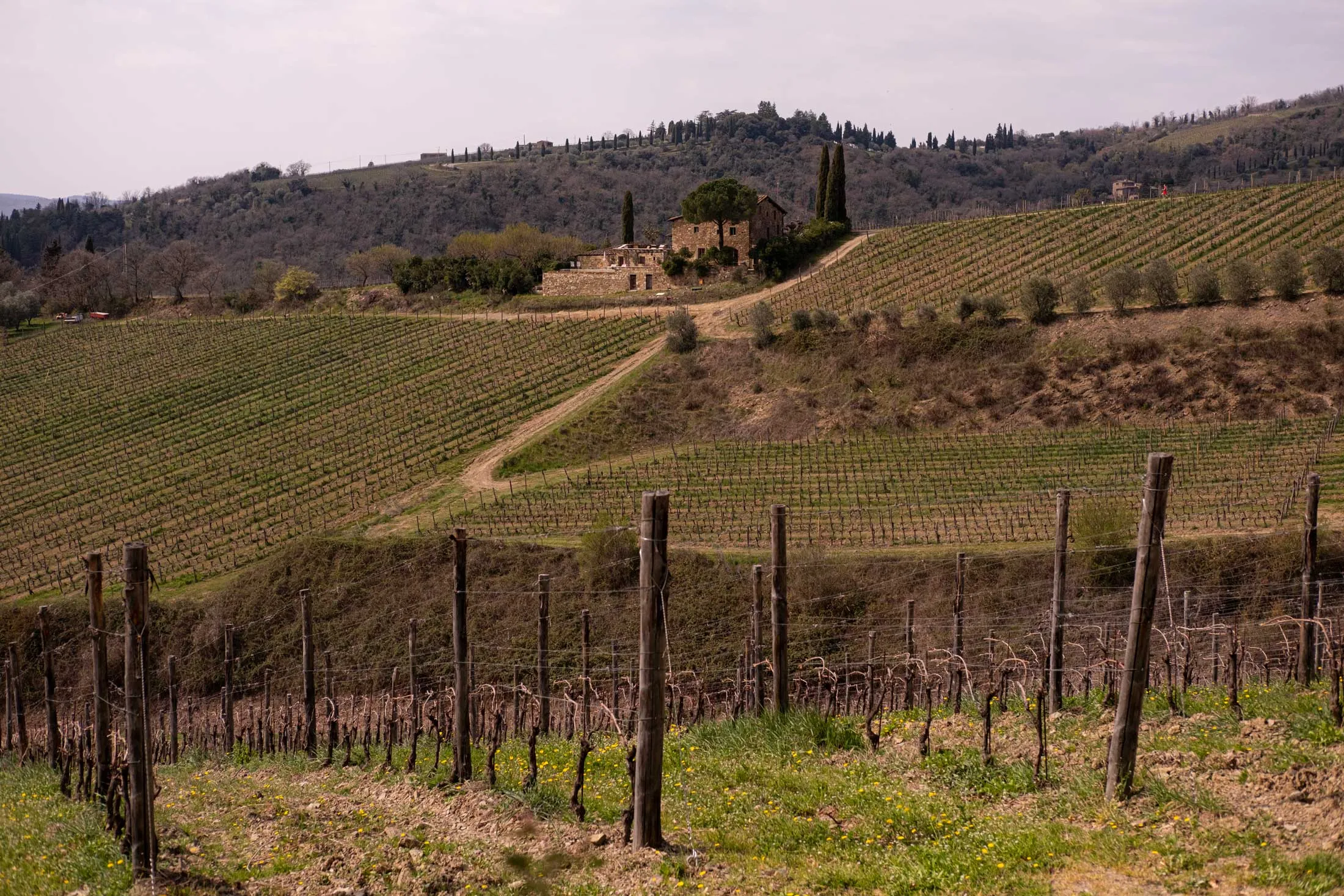 Vineyards in Italy’s Chianti region, where producers are beginning to feel the impact of higher US&nbsp;tariffs on European wine exports.&nbsp;