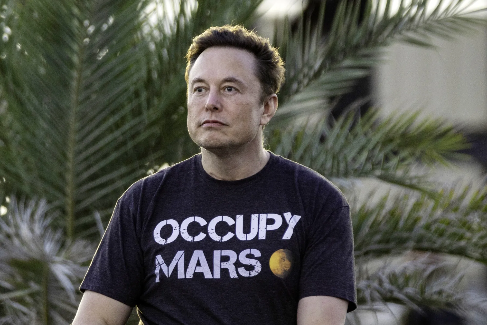 Elon Musk