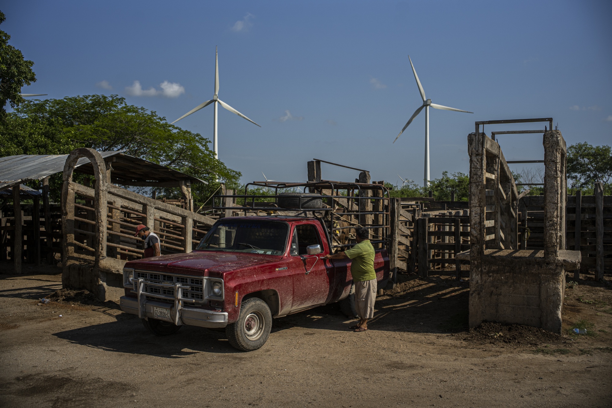 relates to Wind Project Splinters a Mexico Region Prized for Powerful Gusts