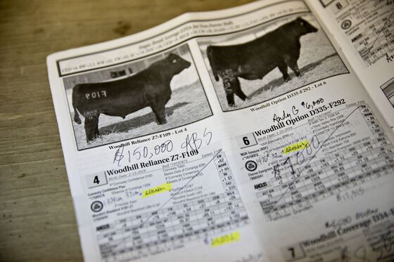 Moneyball for Cattle Is Creating an American Steak Renaissance