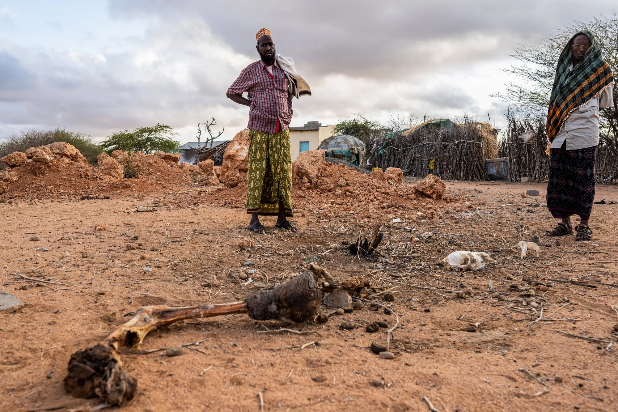 Community leader Mohammed Dawud&nbsp;inspects the remains of his camel&nbsp;that he lost to a drought &nbsp;in the village of Nunow, Kenya.
