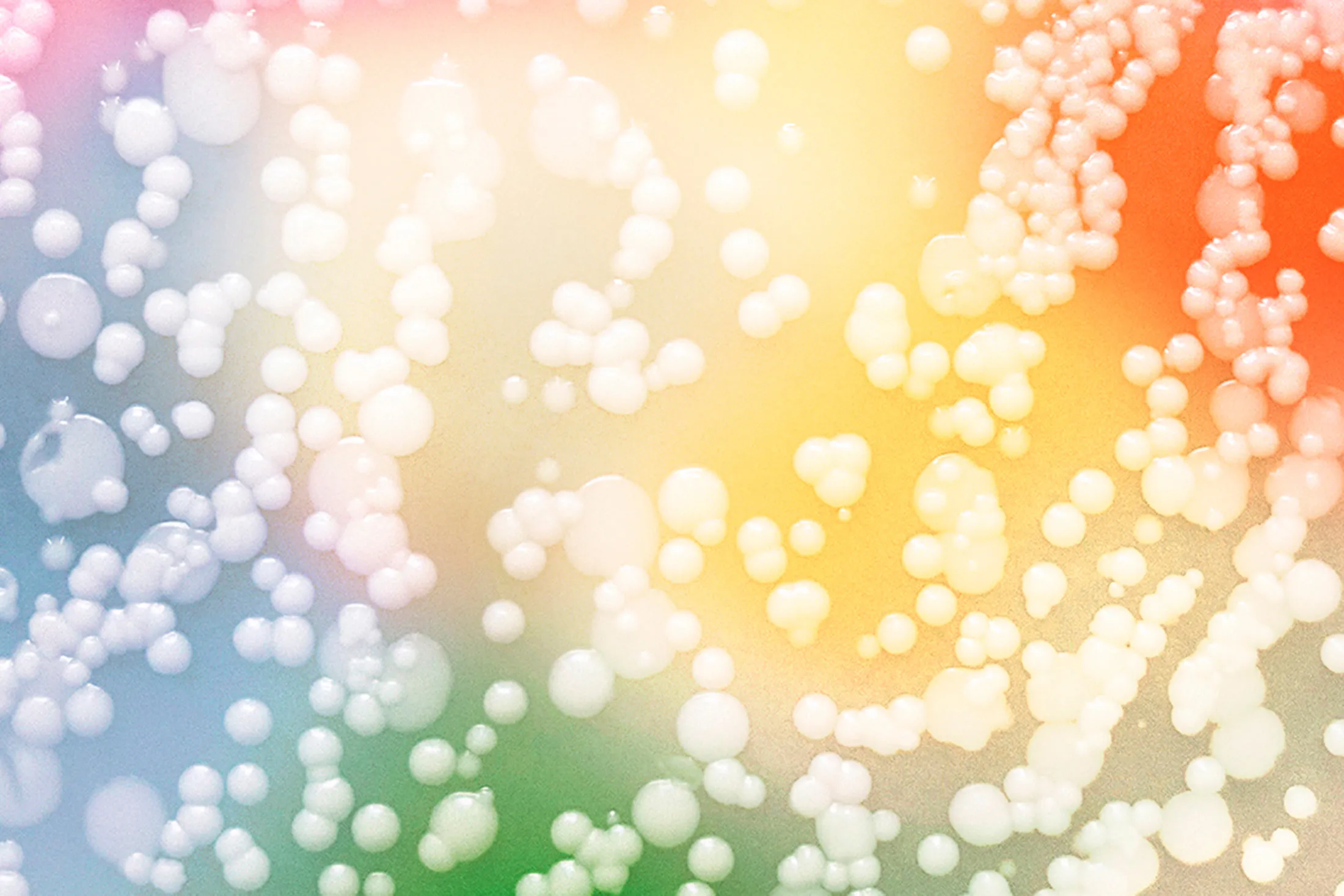 Supercultures, up close.