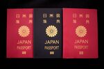 A Japanese passport provides hassle-free entry to 193 countries.