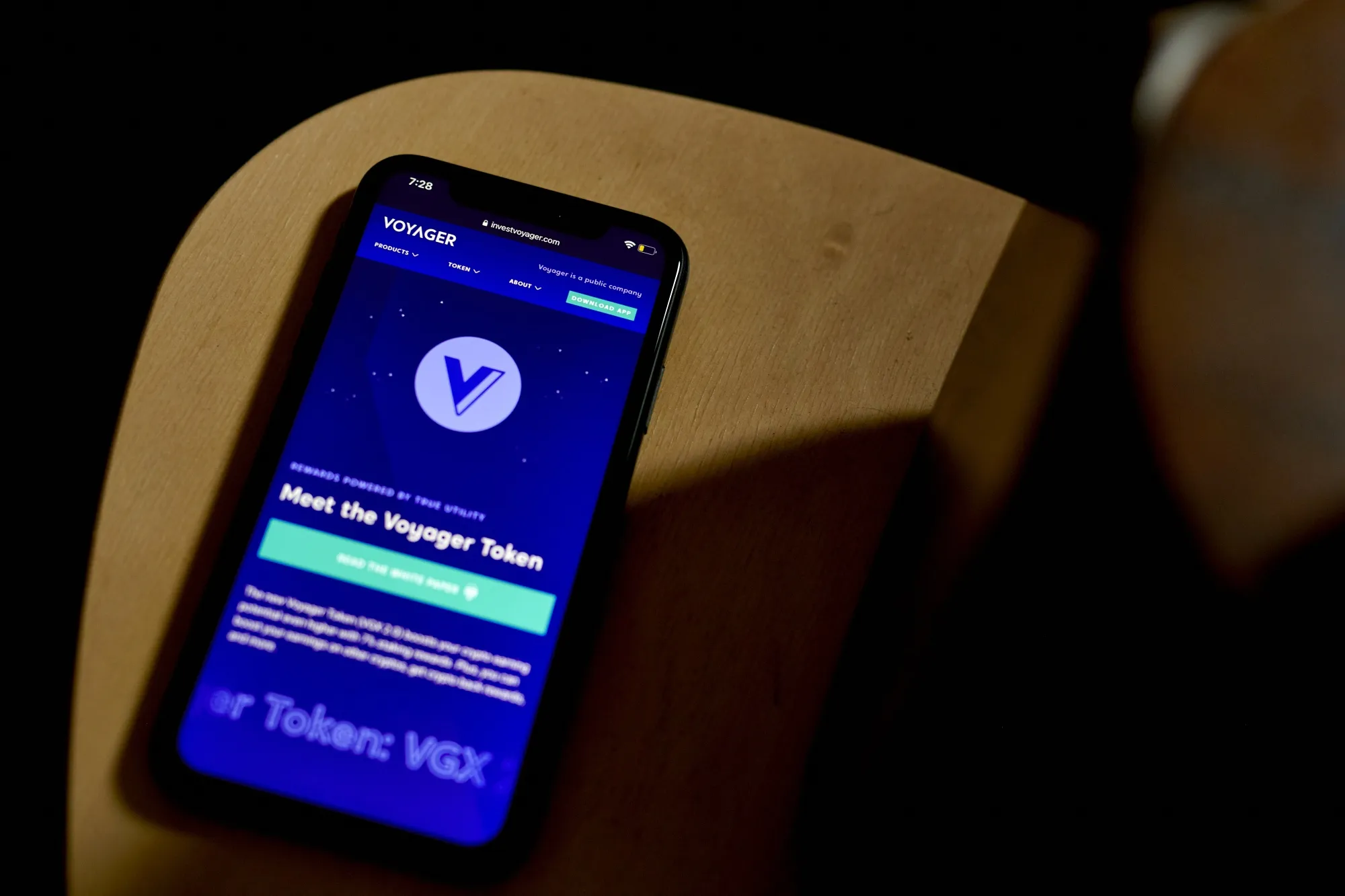 Voyager Seeks Bankruptcy As Crypto Mogul's Lifeline Fails