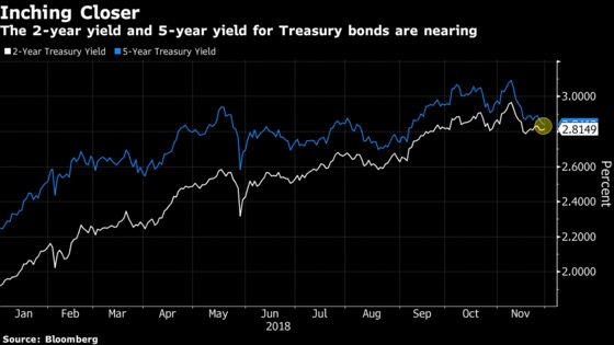 Fear Guides ETF Flows in a November Riddled With Market Risks