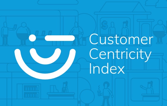 Customer Centricity Index