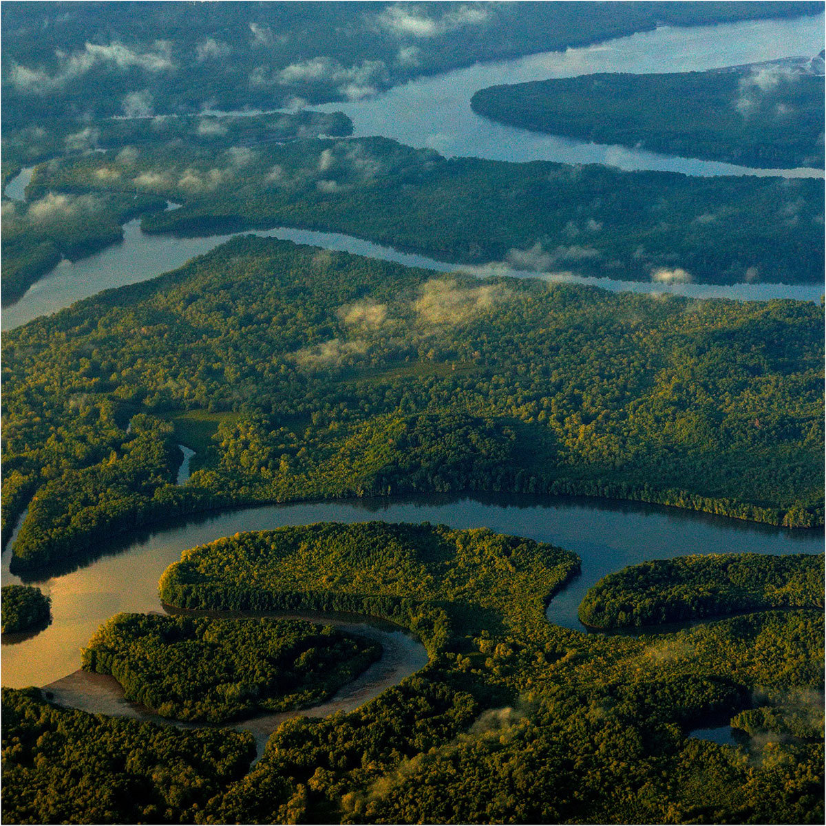 Florida everglades river